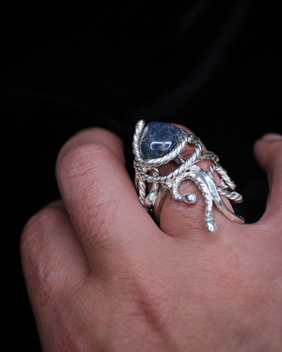 The Sapphire Octopus