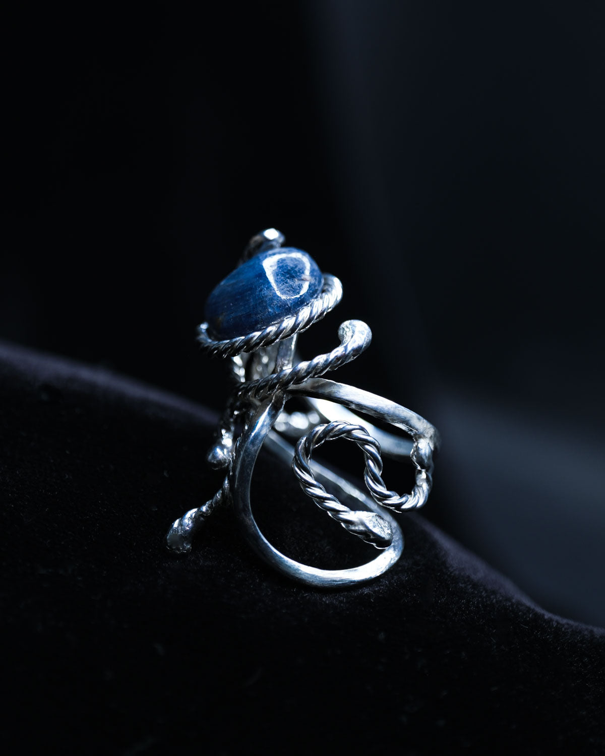 The Sapphire Octopus