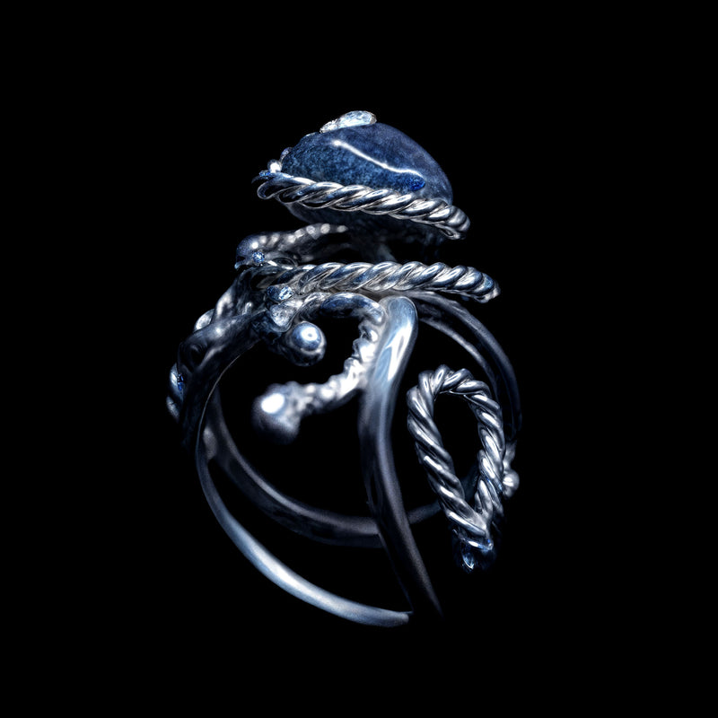 The Sapphire Octopus