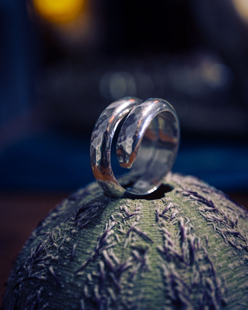Coil Snake Monolith