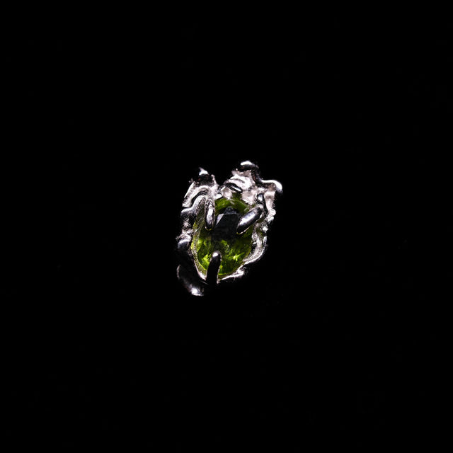 The Frog
