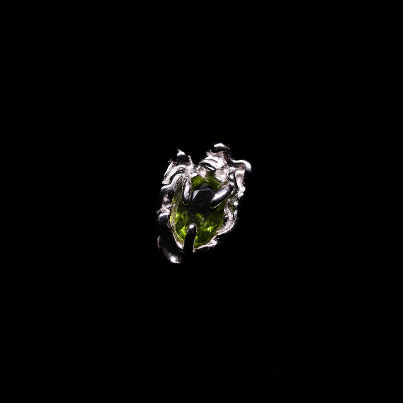 The Frog