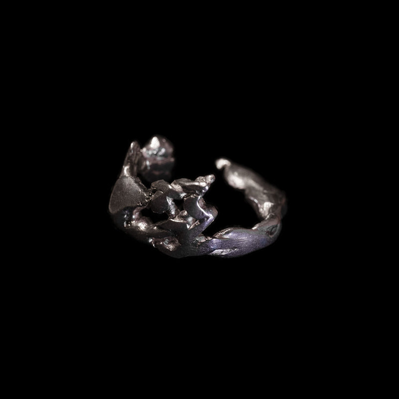 Neptune's Ring