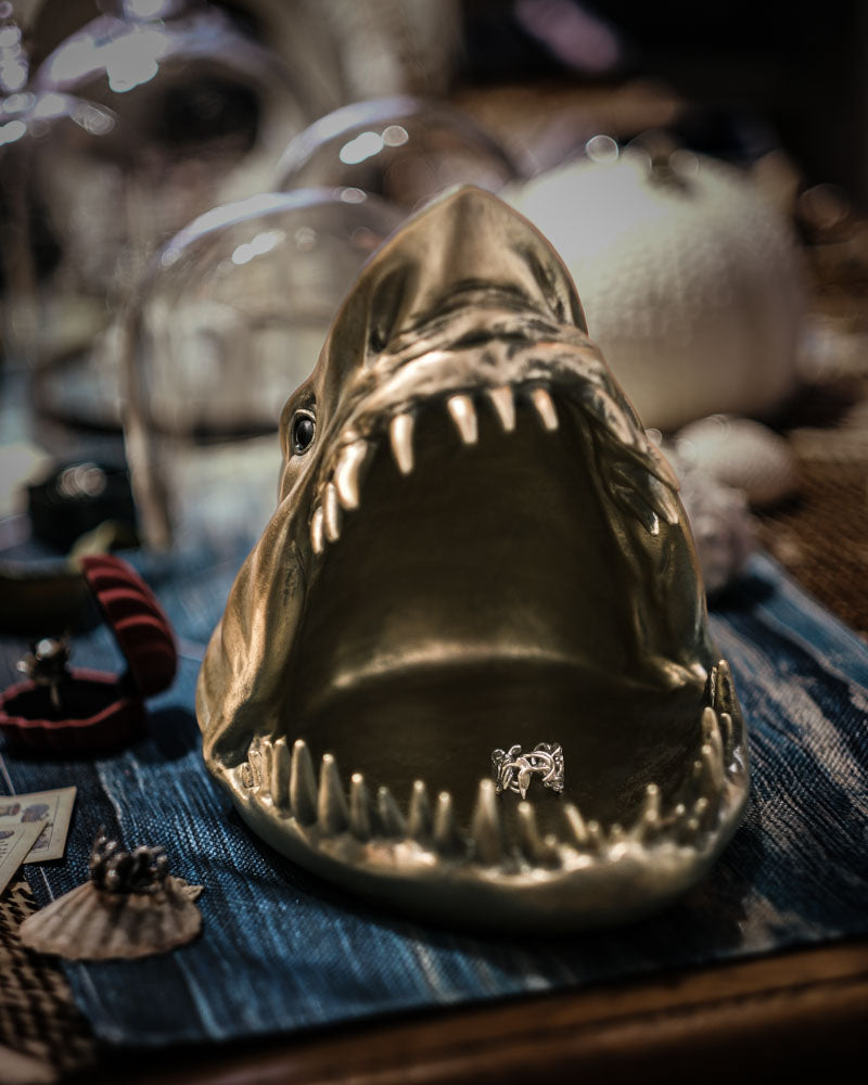 Shark Tooth