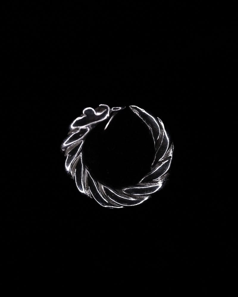 Hook Earring