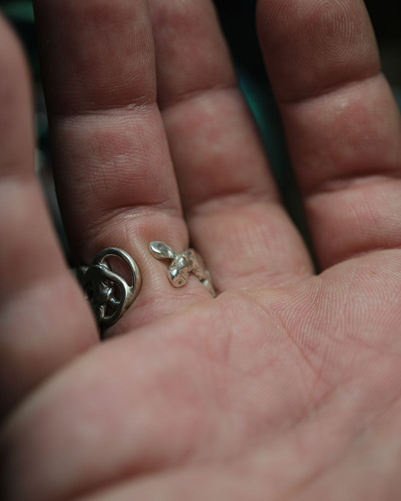 Shark Tooth