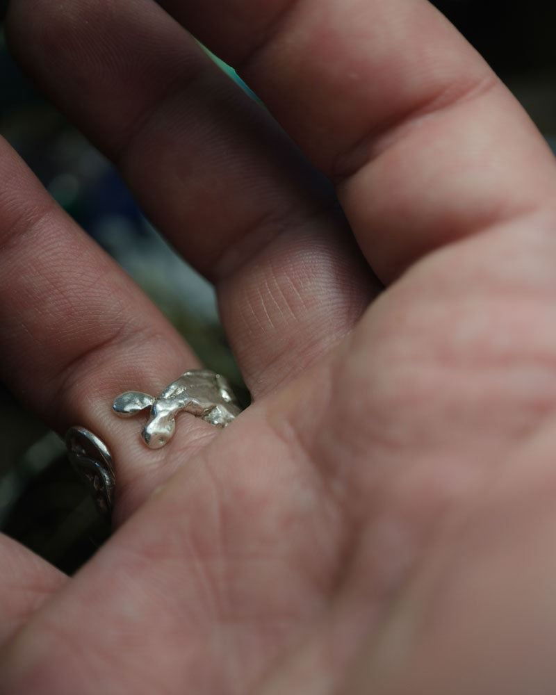 Shark Tooth