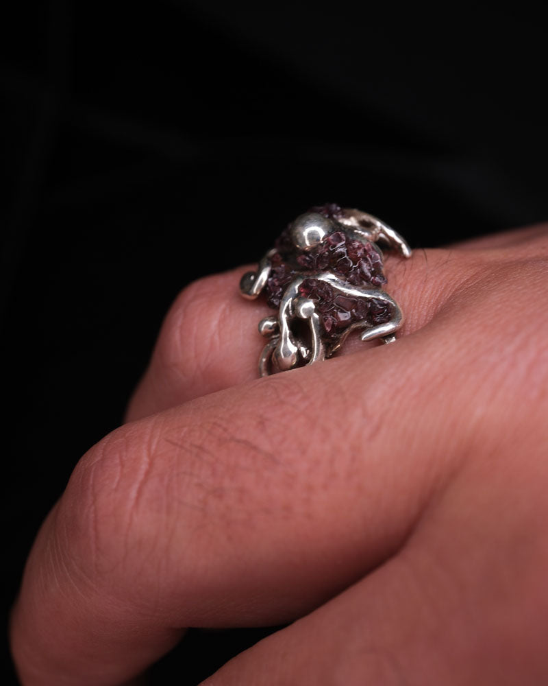 Garnets of Neptune