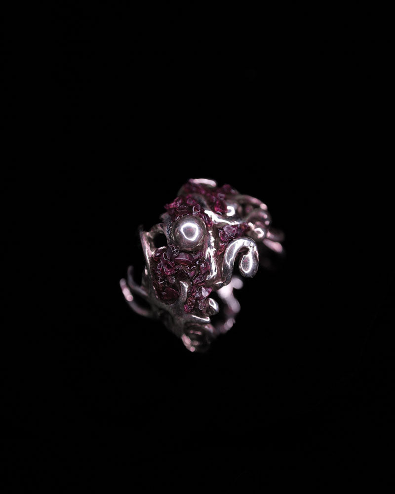 Garnets of Neptune
