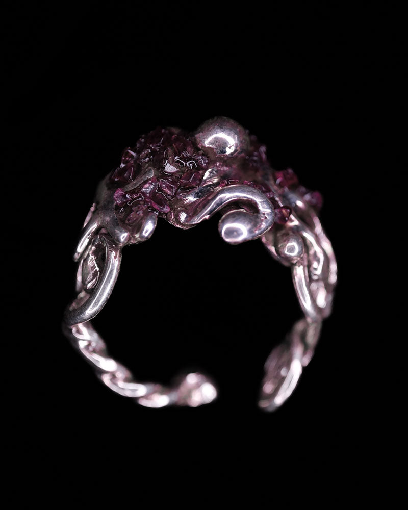 Garnets of Neptune
