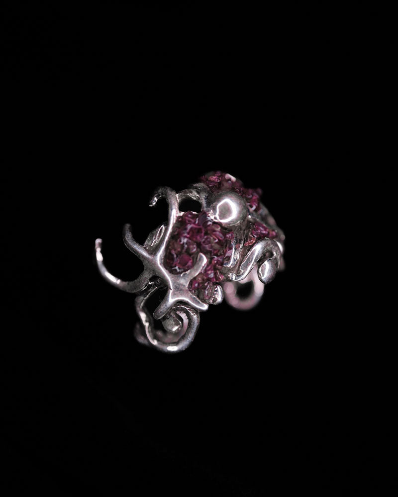 Garnets of Neptune