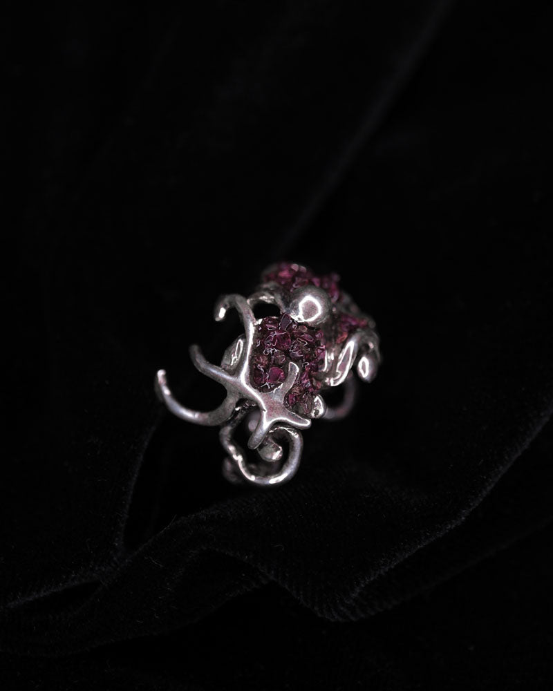 Garnets of Neptune