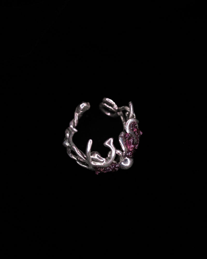 Garnets of Neptune
