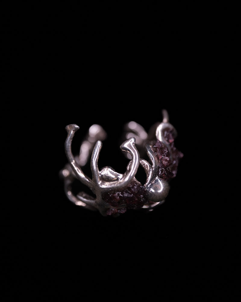 Garnets of Neptune