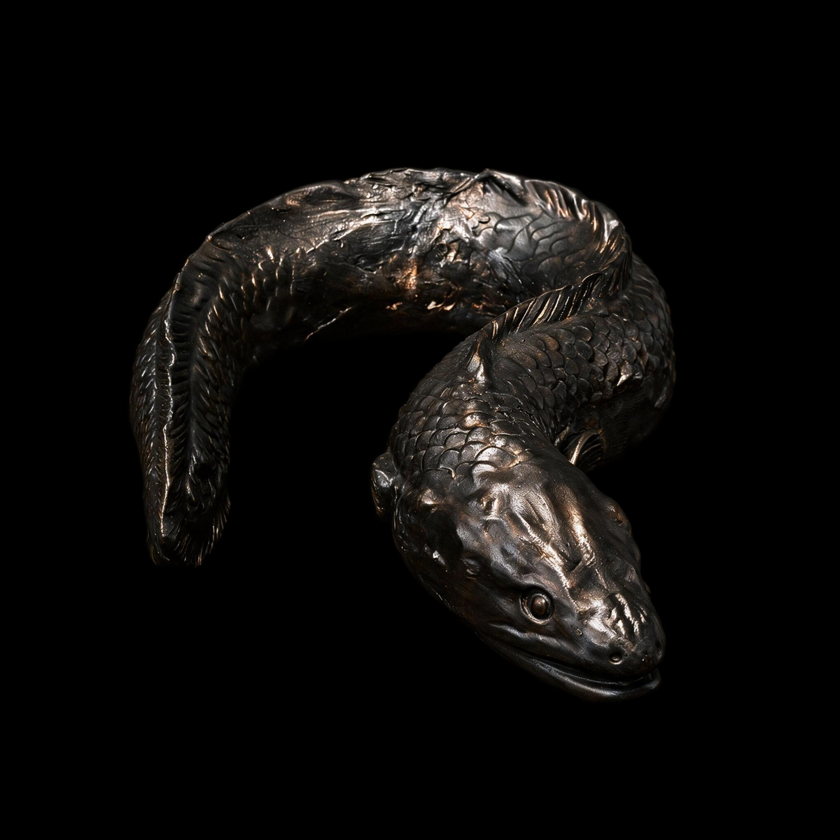 Coiled eel sculpture with lifted head, dark bronze tone with coppery depth, on black