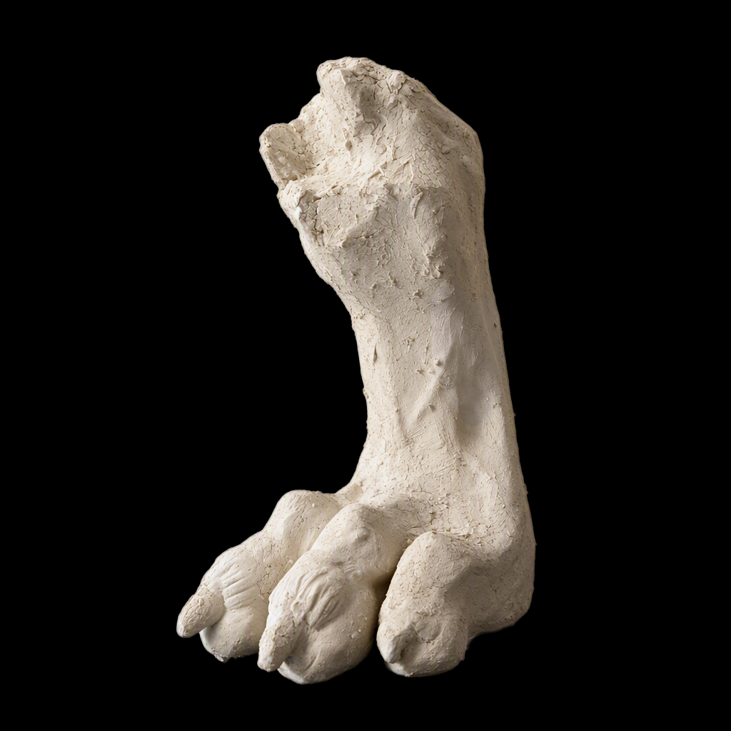 Chimeras Claw Sculpture